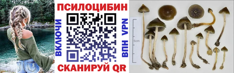 Галлюциногенные грибы ЛСД  наркота  МЕГА рабочий сайт  Нерчинск 